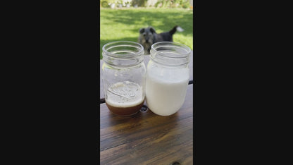 Masala Chai Tea Concentrate