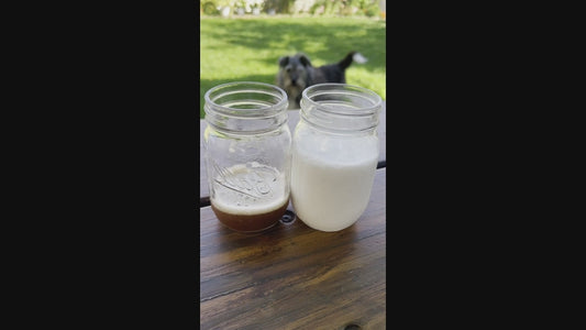 Masala Chai Tea Concentrate